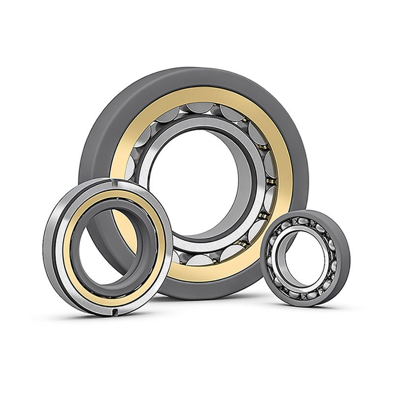 Traction Motor Bearings