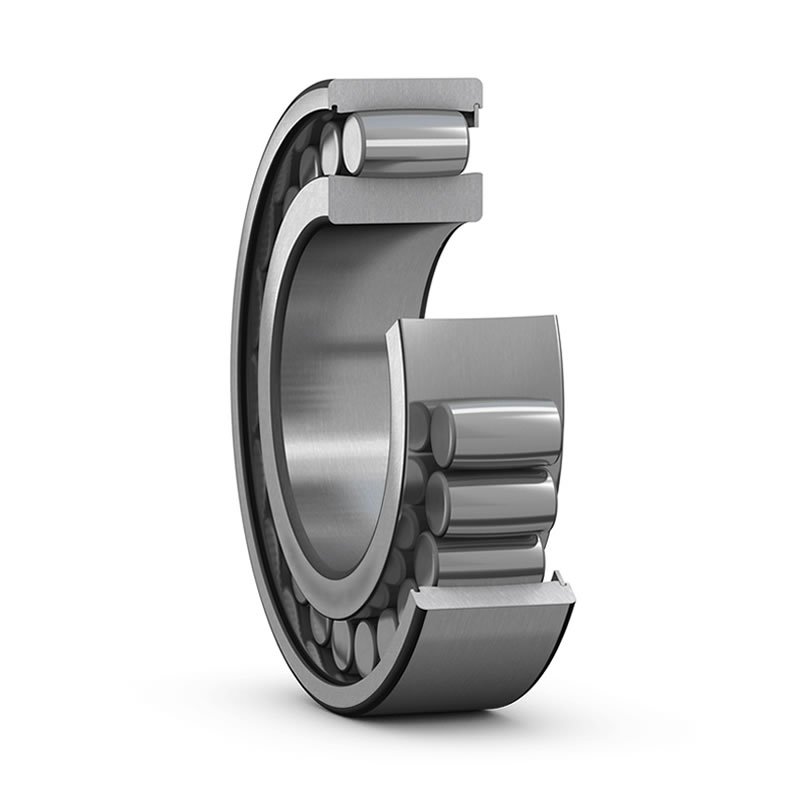 EOE toroidal roller bearing
